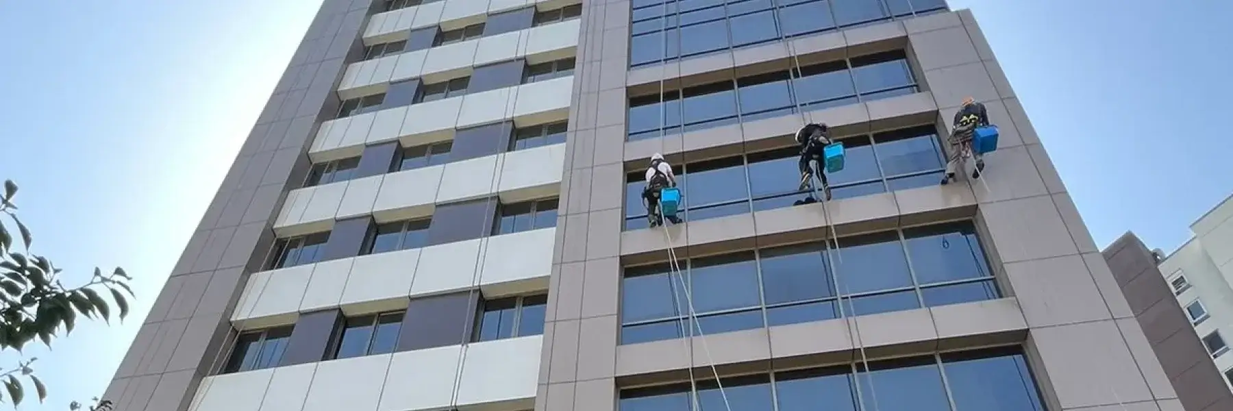 Sara Grup Temizlik